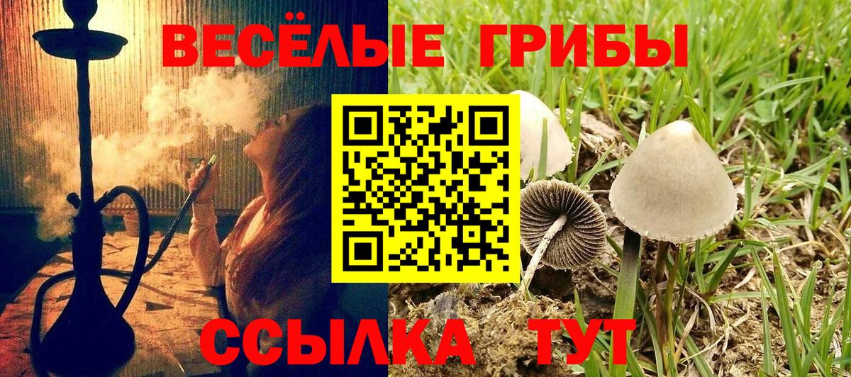 купить наркотики цена  Галлюциногенные грибы мухоморы  Вход с VPN  Моздок 